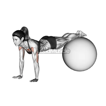 Decline Push up (on stability ball)
