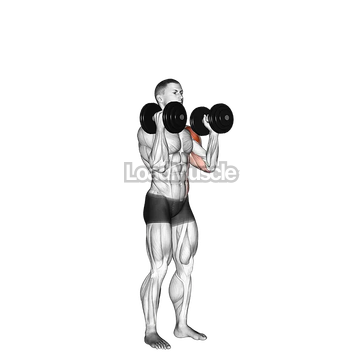 Dumbbell Alternate Side Press