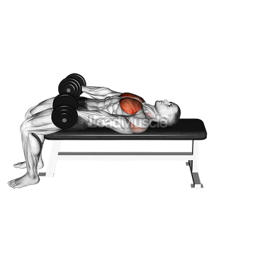 Dumbbell Around Pullover