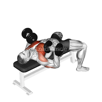 Dumbbell Bench Press