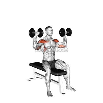 Dumbbell Bench Seated Press
