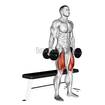 Dumbbell Bench Squat