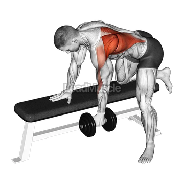 Dumbbell Bent over Row