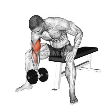 Dumbbell Concentration Curl