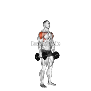 Dumbbell Cuban Press