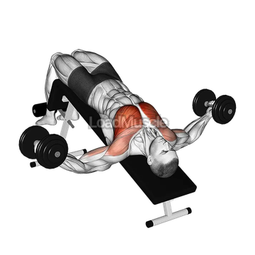 Dumbbell Decline Fly