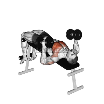 Dumbbell Decline Hammer Press