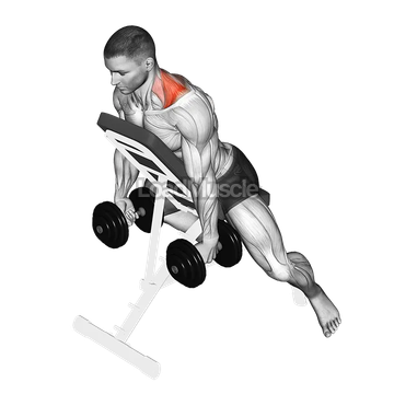 Dumbbell Decline Shrug