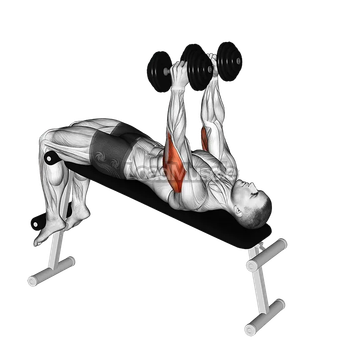Dumbbell Decline Triceps Extension
