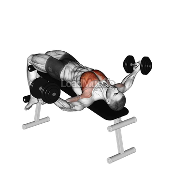 Dumbbell Decline Twist Fly