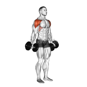 Dumbbell Full Can Lateral Raise