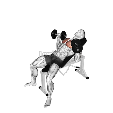 Dumbbell Incline Bench Press