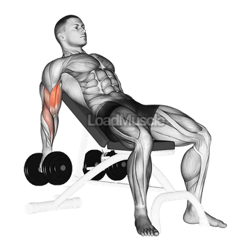 Dumbbell Incline Biceps Curl