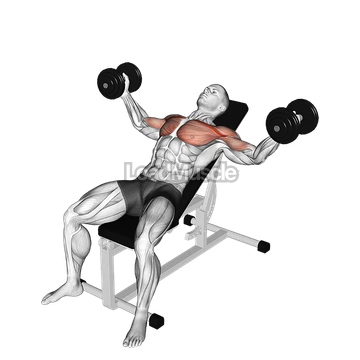 Dumbbell Incline Fly