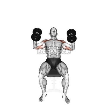 Dumbbell Incline Hammer Press