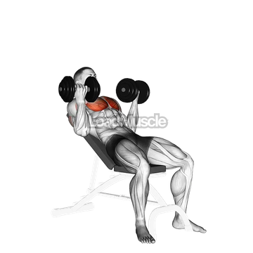 Dumbbell Incline Palm in Press