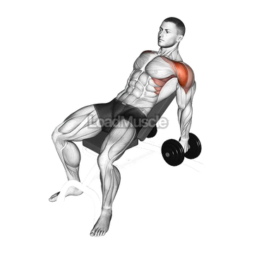 Dumbbell Incline Raise