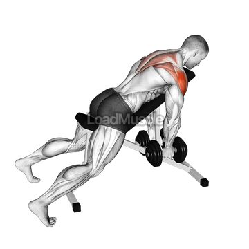 Dumbbell Incline Rear Lateral Raise