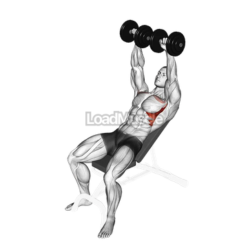 Dumbbell Incline Shoulder Raise