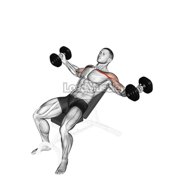 Dumbbell Incline Twisted Flyes