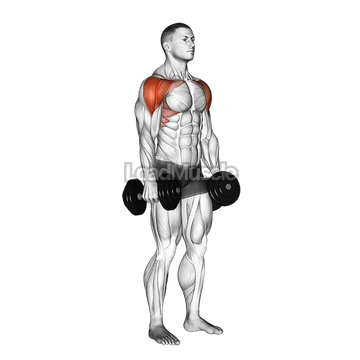 Dumbbell Lateral to Front Raise