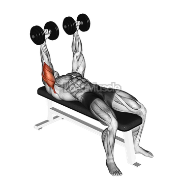 Dumbbell Lying Extension (across face)