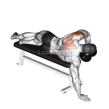 Dumbbell Lying One Arm Deltoid Rear