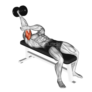 Dumbbell Lying One Arm Supinated Triceps Extension