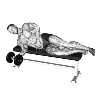 Dumbbell Lying Pronation