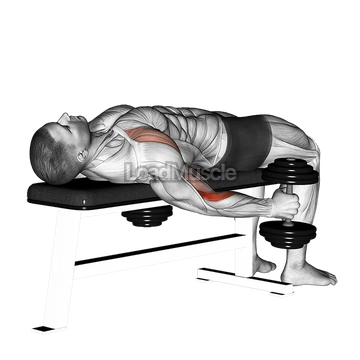 Dumbbell Lying Supine Curl
