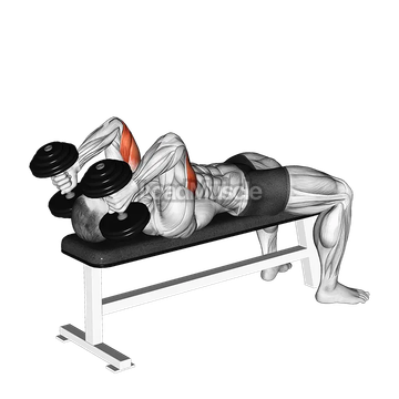 Dumbbell Lying Triceps Extension
