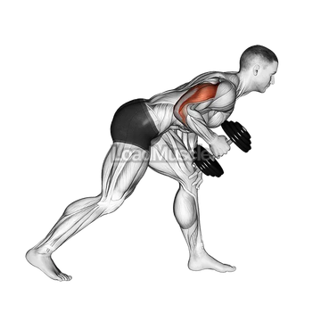 Dumbbell One Arm Kickback