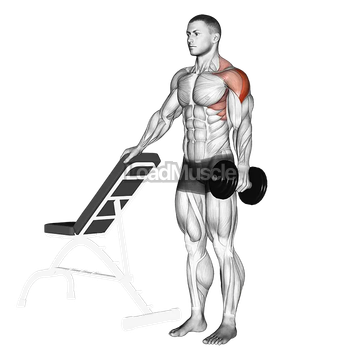 Dumbbell One Arm Lateral Raise
