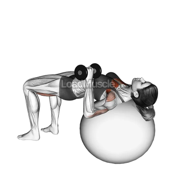 Dumbbell One Arm Press (on stability ball)