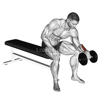 Dumbbell One arm Revers Wrist Curl