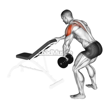 Dumbbell One Arm Reverse Fly (with support)