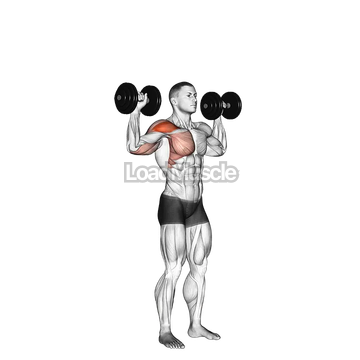 Dumbbell One Arm Shoulder Press