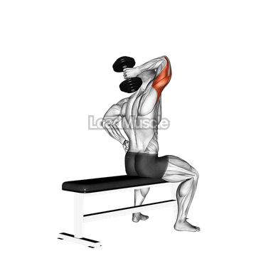 Dumbbell One Arm Triceps Extension (on bench)