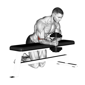 Dumbbell Over Bench One Arm Neutral Wrist Curl