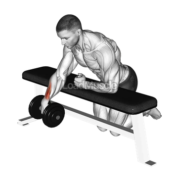 Dumbbell Over Bench One Arm Wrist Curl