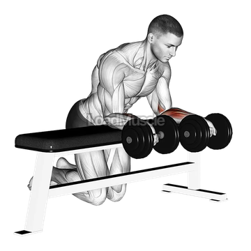 Dumbbell Over Bench Revers Wrist Curl