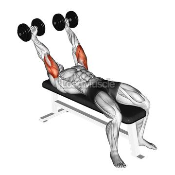 Dumbbell Pronate grip Triceps Extension