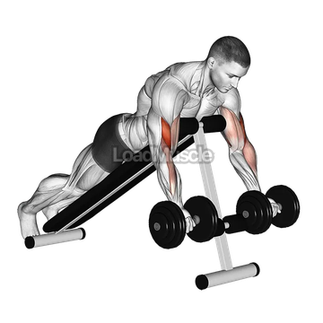 Dumbbell Prone Incline Curl