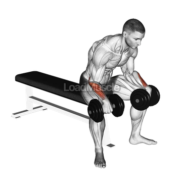 Dumbbell Reverse Wrist Curl