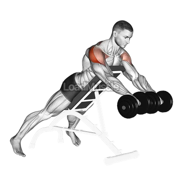 Dumbbell Rotation Reverse Fly