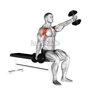 Dumbbell Seated Alternate Front Raise