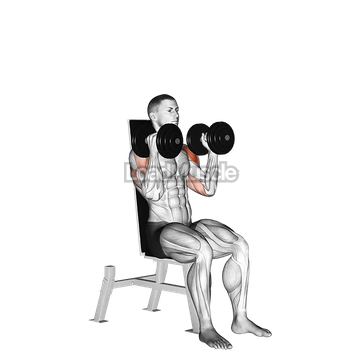 Dumbbell Seated Alternate Press