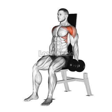 Dumbbell Seated Front Raise