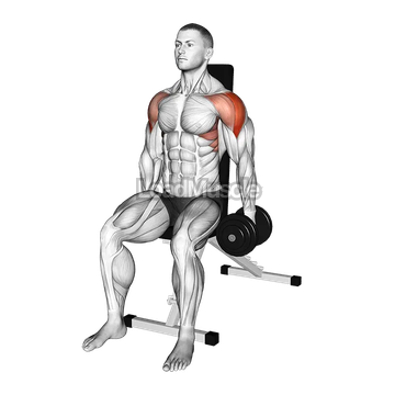 Dumbbell Seated Lateral Raise