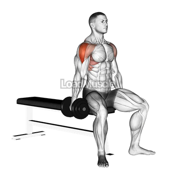 Dumbbell Seated Lateral Raise